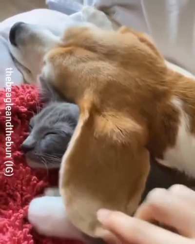 Тёплое одеял<wbr>ьце
