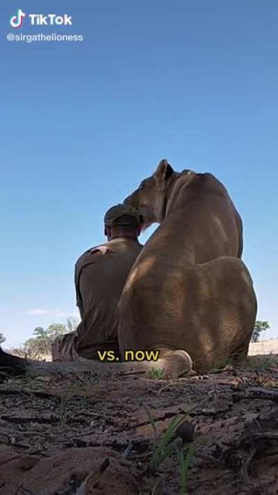 Nine years on a Botswana nature reserve