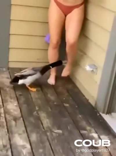 Jerry the Destroyer
