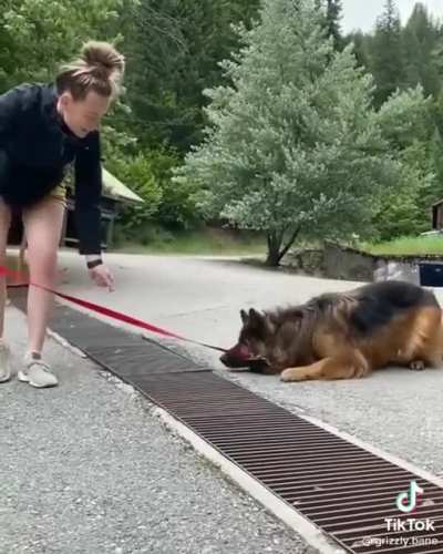 Error: Cannot cross