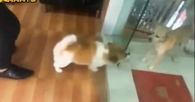 Such a poor