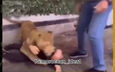 Itâs just a prank bro. The prank: