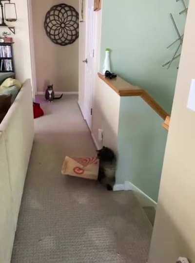 Whoopsie