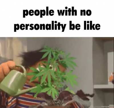 r/truestoners and r/stoners 🤮🤮🤮🤮