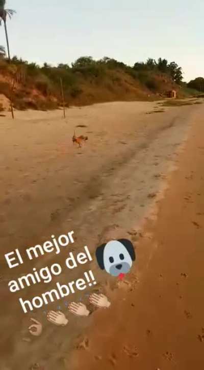 Man’s best friend