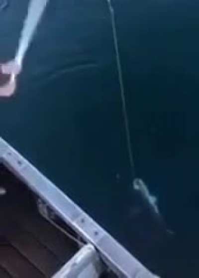 how to catch a huge fish