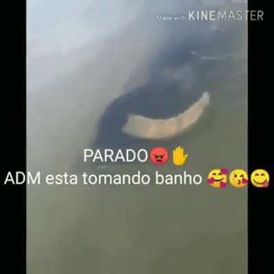 Kibei do r/TocadoFoxy vai fazer oq?