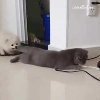 Полный игнор. Учитесь!