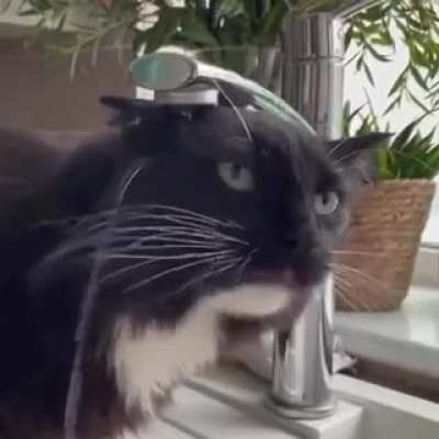 How come I'm still thirsty