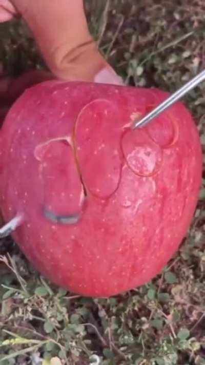 Apple helix tool