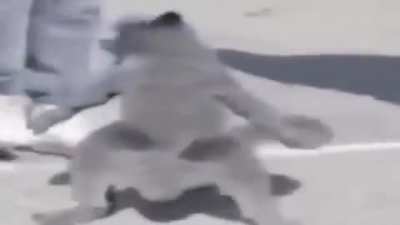 Channit - Video #9455