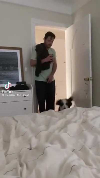 Pounce