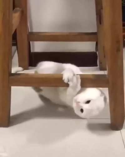 Your cush is comming, act natural
