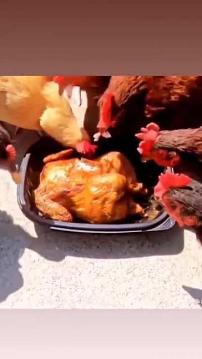 Cursed_cannibalism
