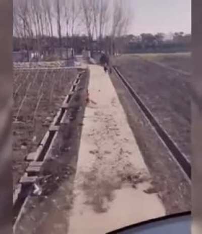 Помог убрать листву