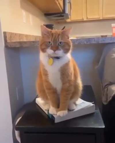 I will sit, and I will judge.