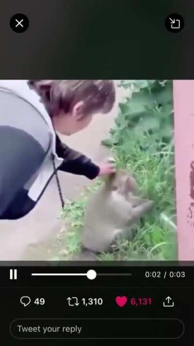 MONKE