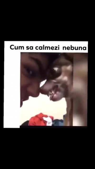 Așa da