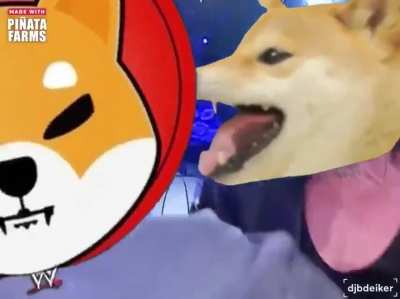 Be carefull who you play games with #dogetomoon