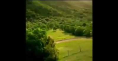 ‎ ‎ ‎ ‎ ‎