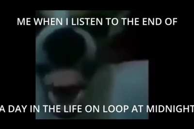 XD