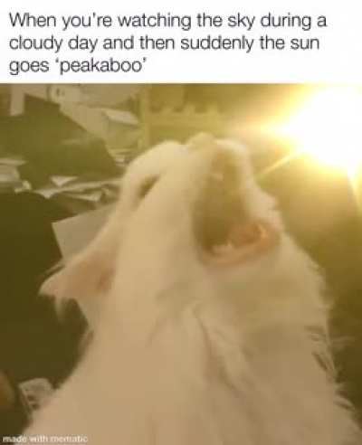 Sorry if the flare hurt your eyes