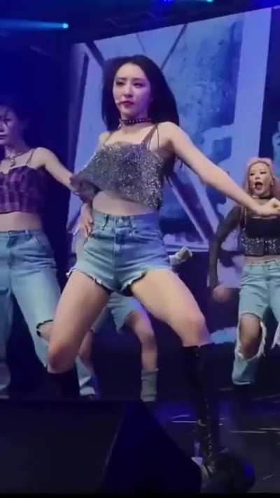 SUA - DREAMCATCHER