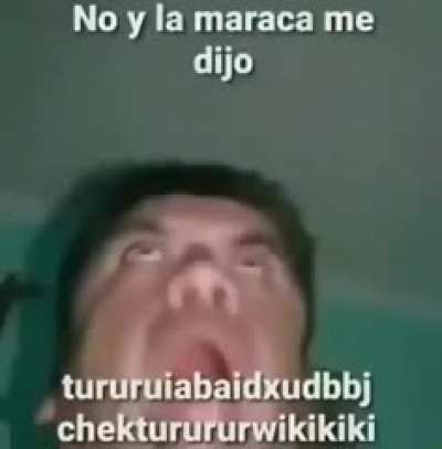 No y la maraca me dijo