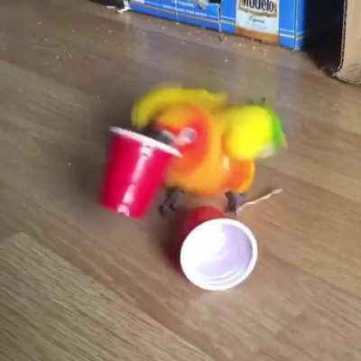 SHOTS SHOTS SHOTS