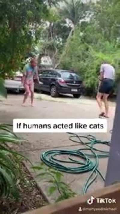 If humans acted like cats and dogs