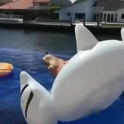 HMC while I save this beer