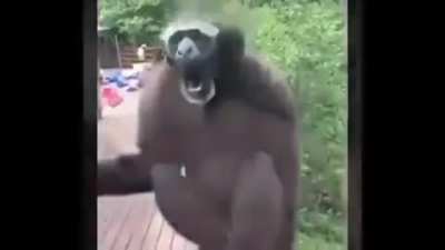 Fri