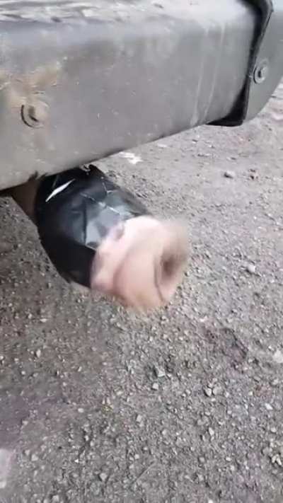 👍🏻