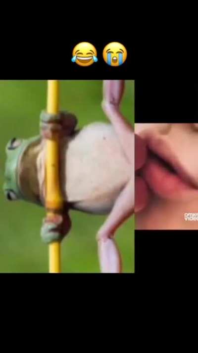 Hm... delicious