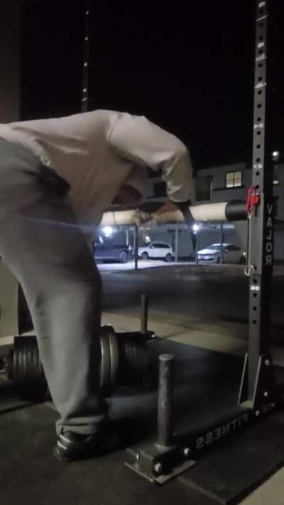 250lb croc rows