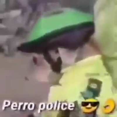 Perro policia