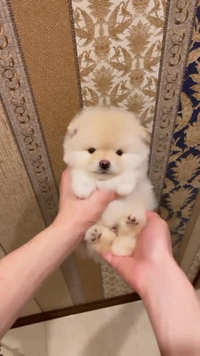 it's very cute