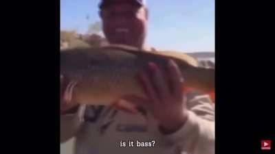 It was a carp