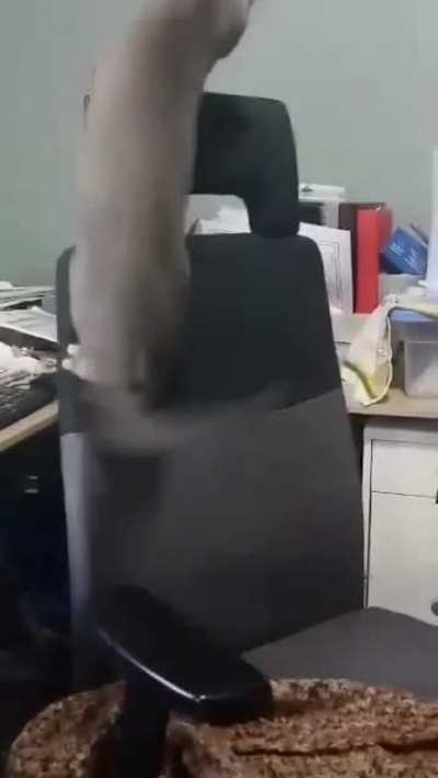 PARKOUR!