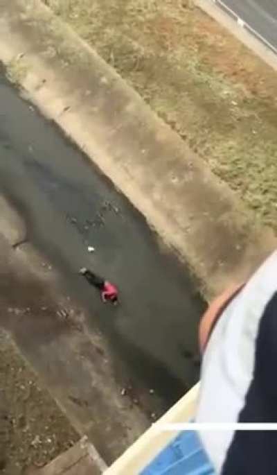 Backflip didnt go as plan