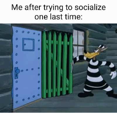 Never again.