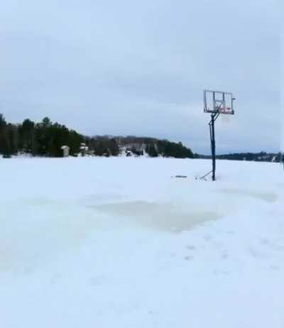 White men can jump