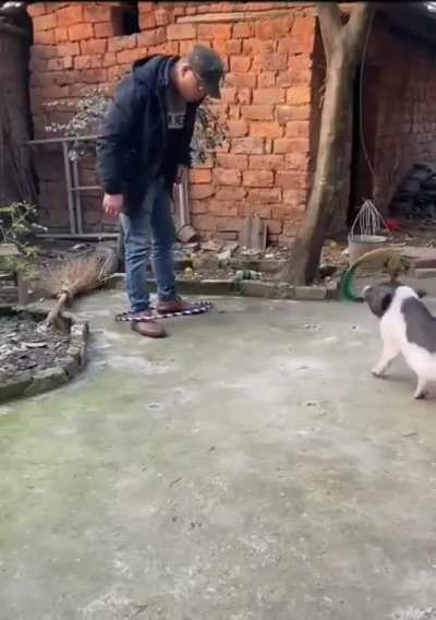 Trying to shake the hoop 
