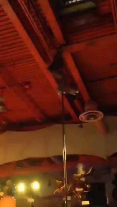 Stripper