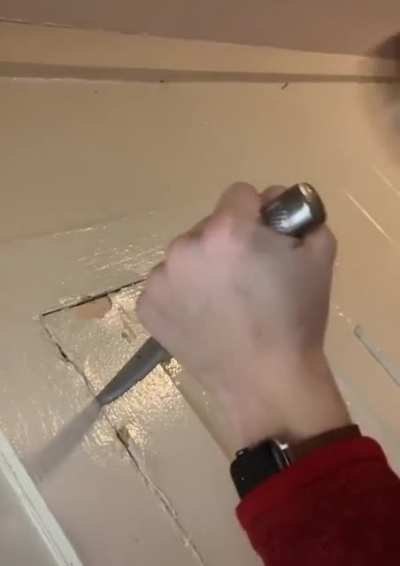 The Gang Find A Weird Door In Their House