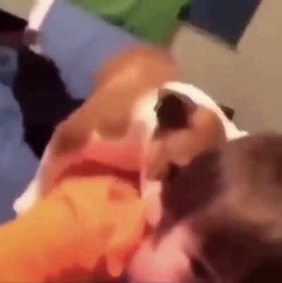 pedo 😳