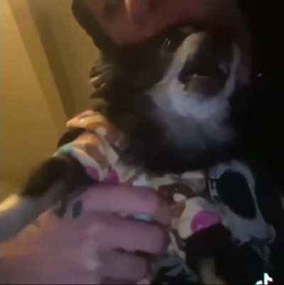Gimme a kiss