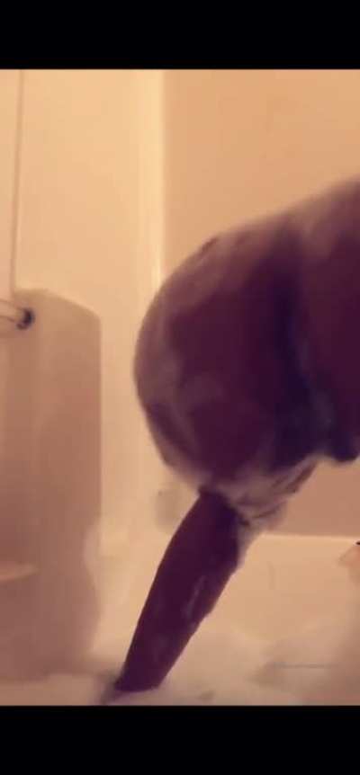 Ass