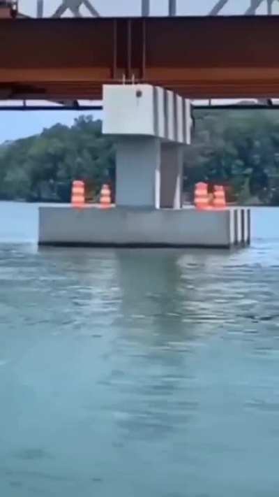 look at these happy cones..