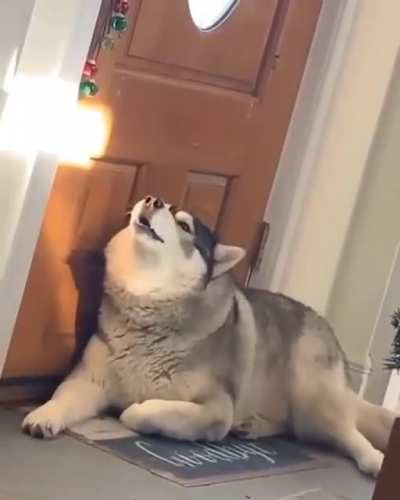 Husky sentry unit